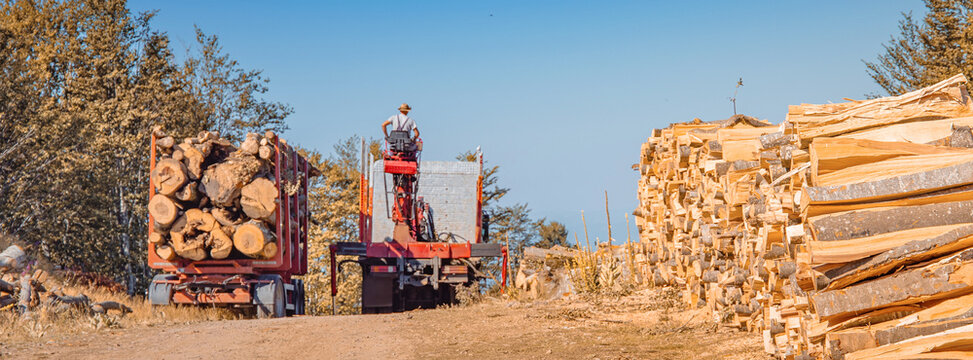 Logging truck with a crane loading cut wood logs on a dirt road, worker operating machinery in a forest clearing for timber industry