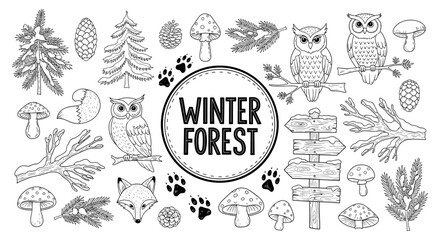 Winter forest wildlife and nature elements in black and white line art