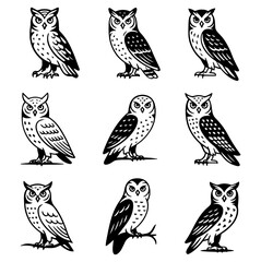 A diverse collection of nine owl illustrations, each showcasing unique poses and expressions, perfect for designs