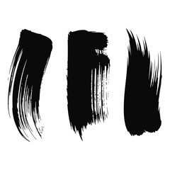 black and white pencil sketch of a bird with wings and brush illustration