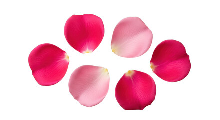 Fototapeta premium Six vibrant rose petals arranged in a circle on a black background