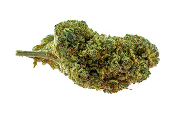 Close up of prescription medical marijuana strain. Macro medical marijuana, Cannabis Bud photo isolated on white background 