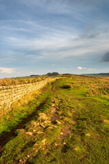 Naklejka premium Hadrians Wall in Northumberland. A World Heritage Site, this wall is 73 miles long and 2000 years old. This is the area near Sycamore Gap