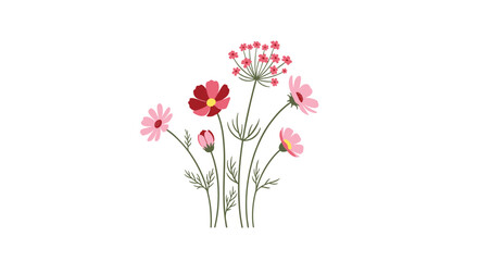 Charming bouquet of cosmos and other delicate wildflowers in varying shades of pink and red, with slender green stems, against a clean white background.