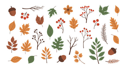 Obraz premium Comprehensive collection of diverse autumn elements, including colorful leaves, branches, berries, and acorns, perfect for festive fall and Thanksgiving designs.