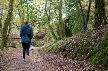 Obraz premium Mother and son walking through a beautiful riverside forest