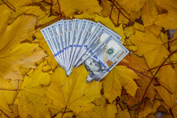 US dollar banknotes scattered on autumn leaves featuring fall colors, texture and currency details representing finance, economy, seasonal concept, banking, investment and American monetary system inf