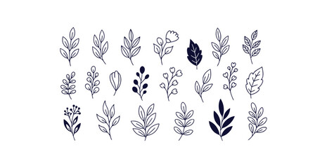 Hand drawn botanical doodle set with leaves petals and delicate branches