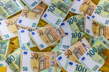 Euro banknotes scattered on autumn leaves featuring fall colors, texture and currency details representing finance, economy, banking, investment, European monetary system and seasonal concept