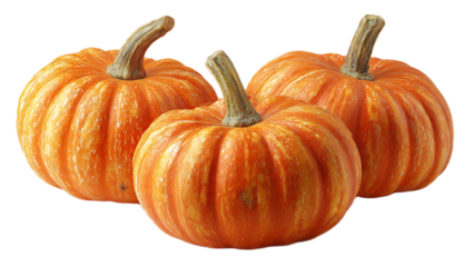 Three orange pumpkins with stems arranged in a group on a black background in a close up shot