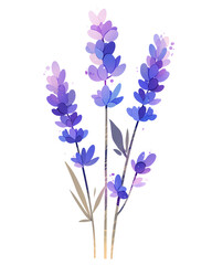 Obraz premium Chibi lavender transparent png in cute simplified form