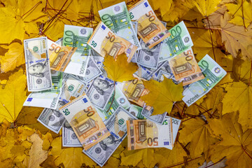 US dollar and Euro banknotes scattered on autumn leaves featuring currency details, texture and fall colors representing finance, economy, inflation, banking, investment and seasonal concept. Currency