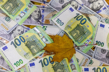 US dollar and Euro banknotes scattered on autumn leaves featuring currency details, texture and fall colors representing finance, economy, inflation, banking, investment and seasonal concept. Currency
