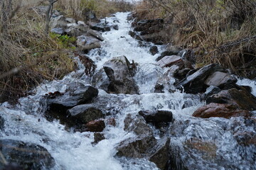 Fast stream surrounded by moss and rocks