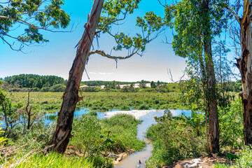 nascente de rio em norte da ilha de Florianópolis