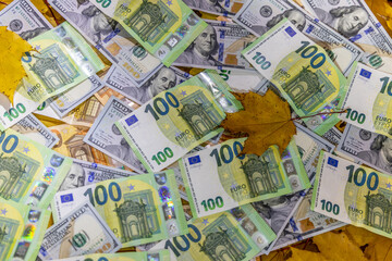 US dollar and Euro banknotes scattered on autumn leaves featuring currency details, texture and fall colors representing finance, economy, inflation, banking, investment and seasonal concept. Currency