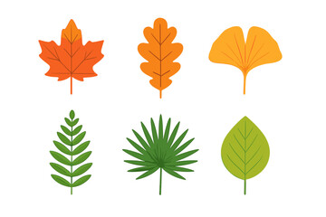 Obraz premium Stylized assortment of tree leaves showing summer and autumn colors