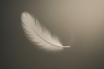 White Feather Floating in Air – Lightness and Purity Concept