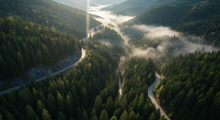 Winding road through misty green pine forest mountains