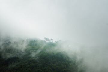 Misty mountain landscape with a dense forest covered in thick fog. A few trees and a hidden white house barely emerge through the haze, creating a mystical and serene atmosphere in the highlands. The 