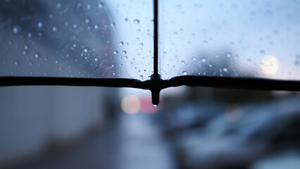 A transparent umbrella and a street out of focus, an autumn city in cloudy weather, melancholic bokeh
