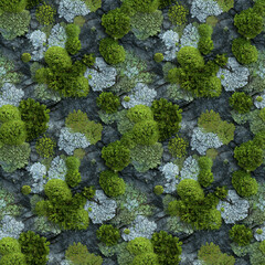 Moss and Lichen Seamless Pattern