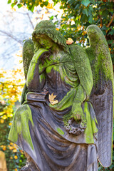 Obraz premium Historic Statue on the autumn mystery old Prague Cemetery, Czech Republic