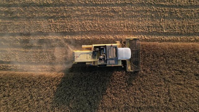 newholland harvesting 4k
