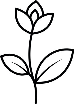 Minimal Line Art Flower with Three Petals and Two Leaves