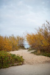 Fototapeta premium autumn in the park