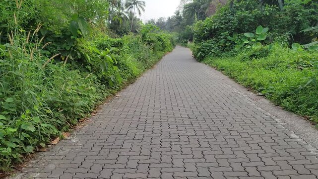 A peaceful brick-paved road running along a canal in a green Indian village, surrounded by tropical plants and trees.