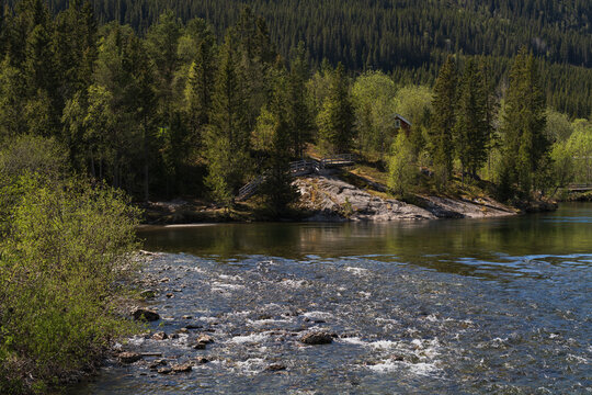 Scenic Norwegian landscape with a clear mountain river, rocky rapids, and a dense pine forest covering the valley hillside. - Powered by Adobe
