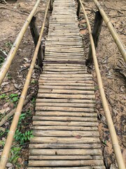 Bamboo walkway in the forest park