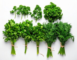 Naklejka premium Assorted Fresh Green Herbs on Clean White Surface Display