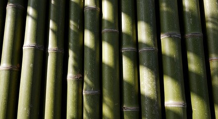 Fototapeta premium Vertical Bamboo Stacks with Natural Shadows Organic Texture
