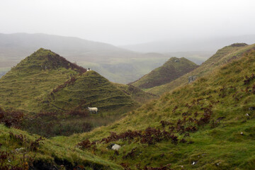 Obraz premium Isle of Skye, Fairy Glen, Mountain, Sacred Place in the Scottish Highlands, Scotland