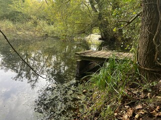 Beautiful landscape view of large broad lake in Norfolk East Anglia uk with image of sky clouds trees bushes reflected in tranquil water and wood jetty platform on nature reserve in Winter day light