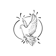 A graceful dove in flight, symbolizing peace and freedom