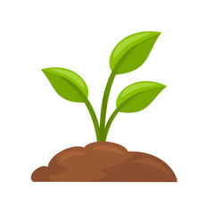 Plant icon, plant seedling leaf sprout vector illustration, plant clip art, plant growth icon, isolated on white background