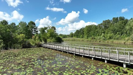 Aerial drone view of a wooden boardwalk over lily pad–covered marsh under blue sky—serene wetland scene. - Powered by Adobe