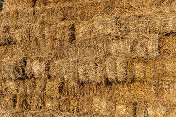 Stacked hay bales in a sunny farm field ready for use during harvest season