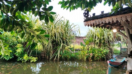 A beautiful natural landscape with green leaves and water 
