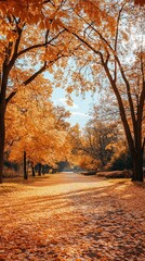 Autumn park path bathed in golden sunlight