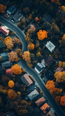 Autumnal residential streetscape viewed from above