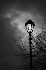 A black and white street lamp silhouetted against a cloudy sky. Bare branches of a tree frame the lamp
