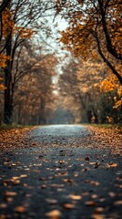 Autumnal path through a park (1)
