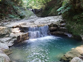 Cascading waterfall in a rocky pool, lush green forest