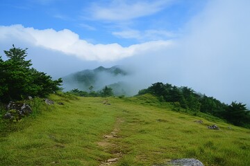 Misty mountaintop vista. Lush green hillside path