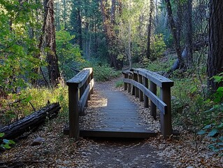 Wooden bridge over a forest path. Sunlight filters through trees