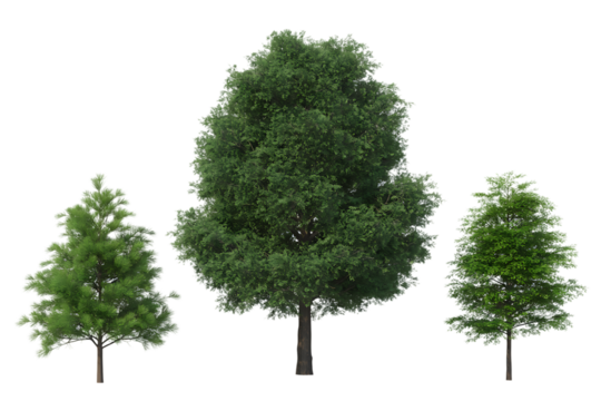 Trees isolated png on a transparent background premium cutout foreground tree - Powered by Adobe